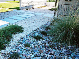 This image depicts a closeup view of the multicolored river rock bed near the front porch. The bed contains several mounded monkey grass, two trailing rosemary plants, and a large Texas Blue stem grass.