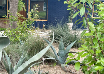 A dramatic image of the large blue agave and coral yucca.