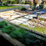 An image of the vintage brick planter box attached to the house which contains Various shade loving grasses.