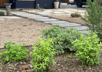 An image of thryallis, a variegated leafed bush, and a turk's cap.