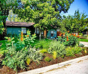 This is a front view of 1609 Suffolk Dr. The house is a sage green painted brick with a peach colored front door. The front bed is towards the curb and filled with sun loving plants such as Pride of Barbados, salvia, Cacti, scull cap, feather grass, yucca, and artichoke agave.
