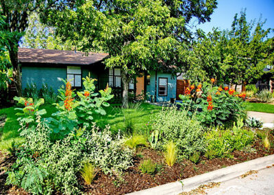 This is a front view of 1609 Suffolk Dr. The house is a sage green painted brick with a peach colored front door. The front bed is towards the curb and filled with sun loving plants such as Pride of Barbados, salvia, Cacti, scull cap, feather grass, yucca, and artichoke agave.