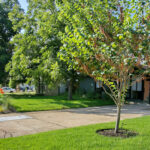 A front view of house from right of the driveway. The image depicts three medium sized shade trees. Also, the front xeriscaped bed is on full display.