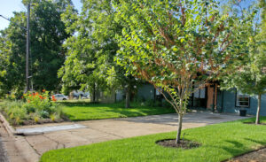 A front view of house from right of the driveway. The image depicts three medium sized shade trees. Also, the front xeriscaped bed is on full display.