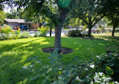 Photo taken of the front yard with a perspective from front porch. The image shows a large green space with zoysia grass and a medium pecan tree.