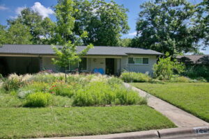 This image depicts a front curb view of 1802 Corona Dr. It has a large meadow bed to the right side of walkway leading to the front door. The meadow is filled with colorful pollinators. You'll find pink coneflowers, orange bulbine, lavender mist flower, yellow lantana, red poppies, and various native grasses.