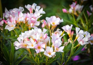 Aug Blog