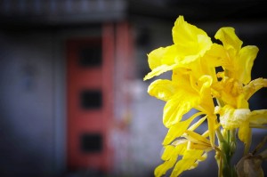 Aug blog 3
