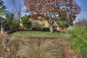IMG_0199_200_201_tonemapped