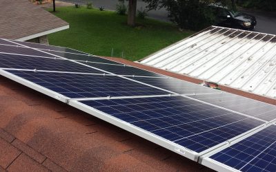 New Local Business Directory