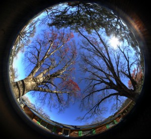 IMG_0253_4_5_Balanced