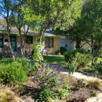 The front view of 1404 Larkwood Dr. with a flower bed to the left of the driveway. It contains a Texas Mountain Laurel and purple sage, yellow daisies and feather grass.