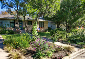 The front view of 1404 Larkwood Dr. with a flower bed to the left of the driveway. It contains a Texas Mountain Laurel and purple sage, yellow daisies and feather grass.