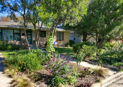 The front view of 1404 Larkwood Dr. with a flower bed to the left of the driveway. It contains a Texas Mountain Laurel and purple sage, yellow daisies and feather grass.