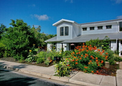 This image depicts a front curb view of 5400 Wellington Dr. It shows a large Pride of Barbados in full bloom with orange, red, and yellow flowers. You'll also find several types of sunflowers, along with large blue salvias and pink rose bushes.