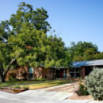 This image depicts the front view of 6008 Belfast Dr. To the left of driveway is a large Pecan Tree which provides shade over much of the yard. The front sidewalk is anchored by a two tier steel planter box to the right of concrete walkway. It is filled with gopher plants, silver pony foot, and various hardy succulents.