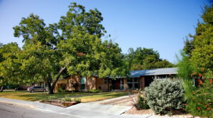 This image depicts the front view of 6008 Belfast Dr. To the left of driveway is a large Pecan Tree which provides shade over much of the yard. The front sidewalk is anchored by a two tier steel planter box to the right of concrete walkway. It is filled with gopher plants, silver pony foot, and various hardy succulents.
