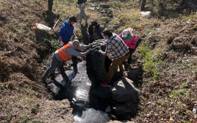 Thanks to ACR for the MLK Day Cleanup