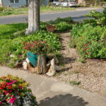 Flower pots filled with bright orange and pink impatients.