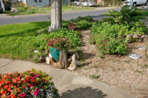 Flower pots filled with bright orange and pink impatients.