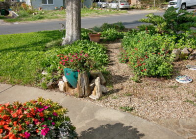 Flower pots filled with bright orange and pink impatients.