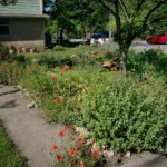 A view of the rock lined sidewalk with various colorful wildflowers.