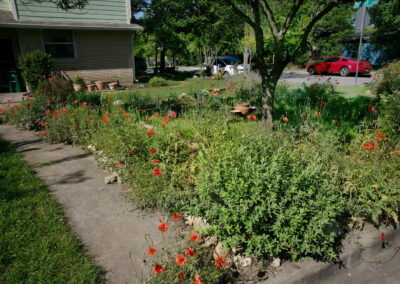 A view of the rock lined sidewalk with various colorful wildflowers.