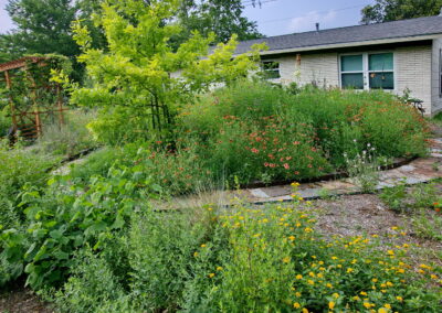 Another view of the beds with coral and yellow colored lantana.