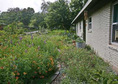 View of the walkway close to the house with pink, white, and orange pollinator plants.