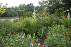 More beds featuring lavender and white pollinators for the bees and butterflies.