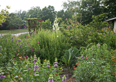 More beds featuring lavender and white pollinators for the bees and butterflies.