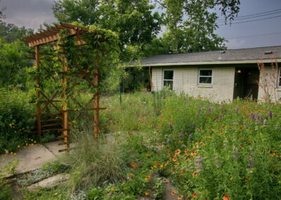 A side view of the wooden pergola with orange trumpet vines cascading over the side.