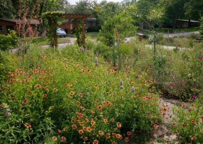 This image depicts a close-up view of yellow and red painted daisies.