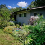 This image depicts a close up view of a flower and vegetable bed located on the left side of yard. There is a small metal tank with a few water lillies. You'll also find tomato plants surrounded by pollinator flowers such as Greg's mist flower, bulbine, painted daisies, blue salvia, and trailing morning glories.