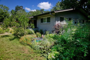 This image depicts a close up view of a flower and vegetable bed located on the left side of yard. There is a small metal tank with a few water lillies. You'll also find tomato plants surrounded by pollinator flowers such as Greg's mist flower, bulbine, painted daisies, blue salvia, and trailing morning glories.