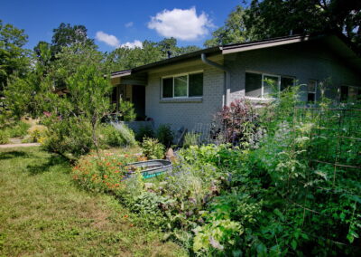 This image depicts a close up view of a flower and vegetable bed located on the left side of yard. There is a small metal tank with a few water lillies. You'll also find tomato plants surrounded by pollinator flowers such as Greg's mist flower, bulbine, painted daisies, blue salvia, and trailing morning glories.