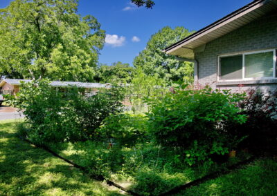 A view of the back of the left side bed with various colorful shrubs and more pollinators, such as yellow daisies, lantana, and salvia.