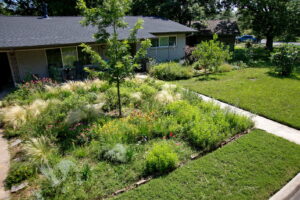 A birds eye view of the meadow garden. You'll find flowers of yellow, purple, pink, orange, blue, and red in this inviting garden.