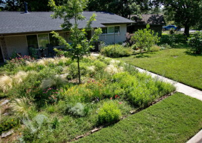 A birds eye view of the meadow garden. You'll find flowers of yellow, purple, pink, orange, blue, and red in this inviting garden.