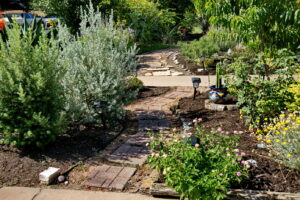 A view of a meandering walkway made out of brick pavers. Along the walkway you'll find Texas sage, lantana, a rose bush, cacti, and solar lanterns to light the path.