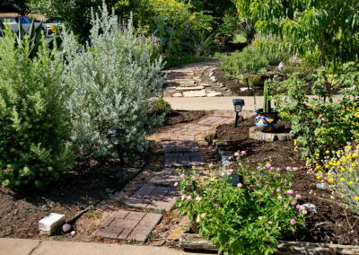 A view of a meandering walkway made out of brick pavers. Along the walkway you'll find Texas sage, lantana, a rose bush, cacti, and solar lanterns to light the path.