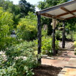 This image depicts the overhang structure added on to the front porch. It is has a metal cover and natural wood columns. In front of the porch is a cluster of small red cannas. hanging from the structure is a flower pot full of purslane and a small wind chime.