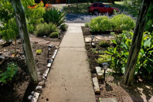 An image taken from the perspective of the front porch looking out into the yard. It shows the sidewalk leading to the street with beds of agave, salvia, cannas, and yellow daisies lining the sidewalk.