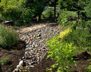 A side bed filled with various colors of river rock. There is also a yellow bell, orange salvia greggi, coral yucca, and a sweet william.