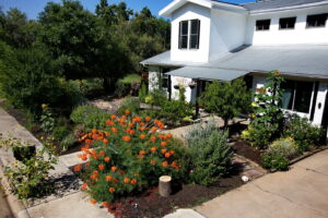 An birds eye view of 5400 Wellington where you'll find the colorful front yard on full display.