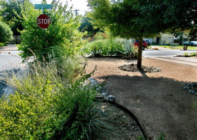 This is an image of the crushed granite and rock beds to the right of drive-way. You'll find beds filled with coral yucca, yellow lantana, pride of barbados, and several large blue agave.