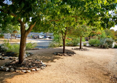 A view of the back of the rock bed on the north side of home. The image shows three small shade trees planted in a row and lined with limestone rock around their bases.