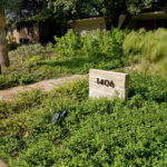 A view of a gray brick signage with the house address and it is surrounded by trailing yellow lantana.