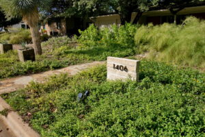 A view of a gray brick signage with the house address and it is surrounded by trailing yellow lantana.
