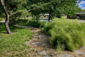 A view of the stone pathway which winds it s way through the yard and curves around the flower beds. It is lined with green grass to the left and bamboo muhly to the right.